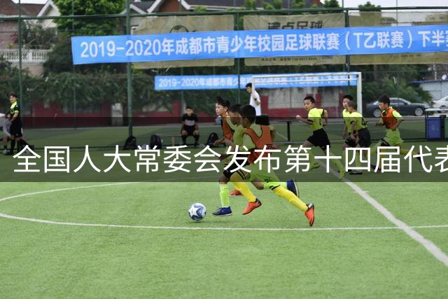 全国人大常委会发布第十四届代表资格公告